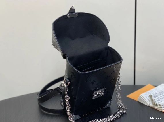 Box VUITTON Canvas Monogram LOUIS Camera 0718